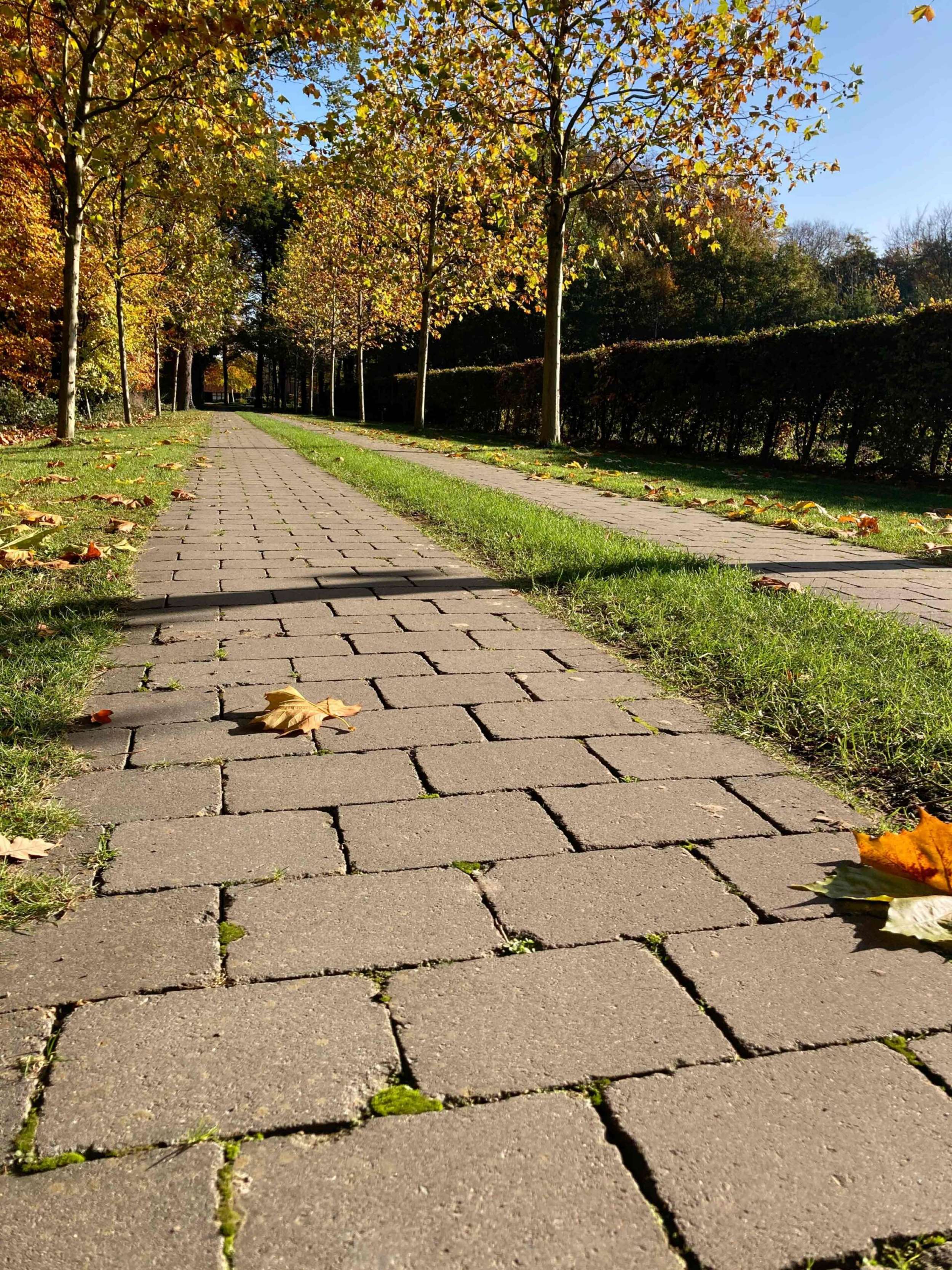 Oldenburger M&uuml;nstersland Antik Vorschaubild