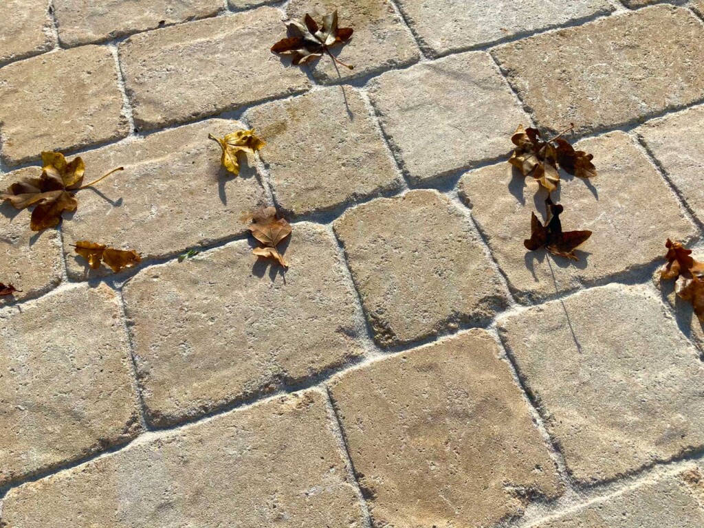 Antik Pflaster Senolo Antik Pflaster mit Blättern