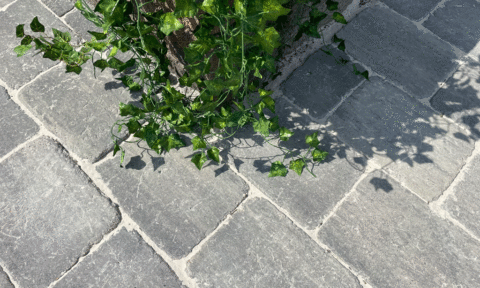 Ökopflaster OM Antik Grau Schwarz Pflastersteine Ökopflaster