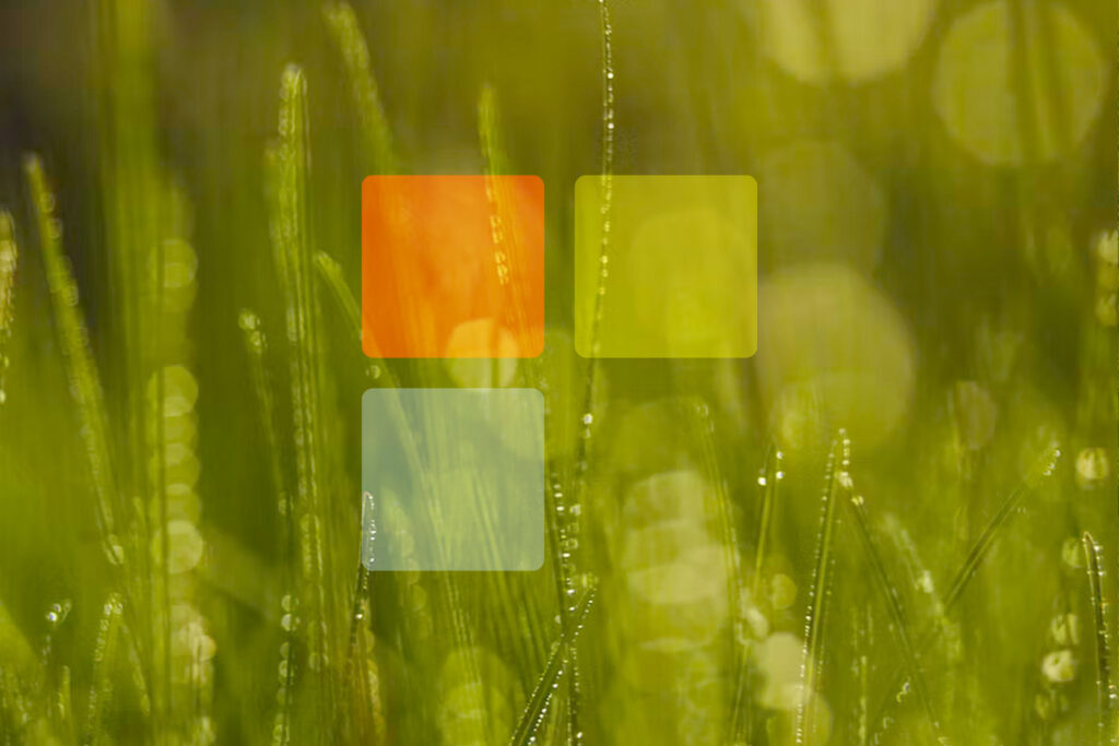 Icon Ökologischer Transportschutz