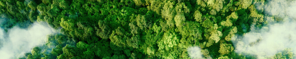 Headergrafik Nachhaltigkeit