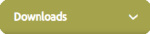 download button aktiv