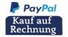 Paypal Rechnungskauf Icon