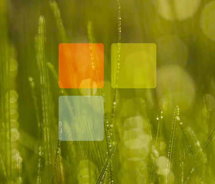 Icon &Ouml;kologischer Transportschutz